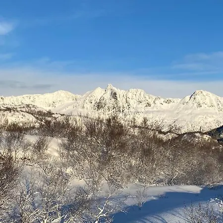 Enebolig I Kabelvag