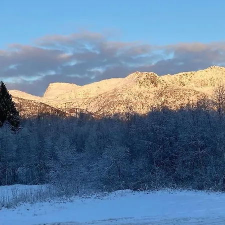 Enebolig I Kabelvag